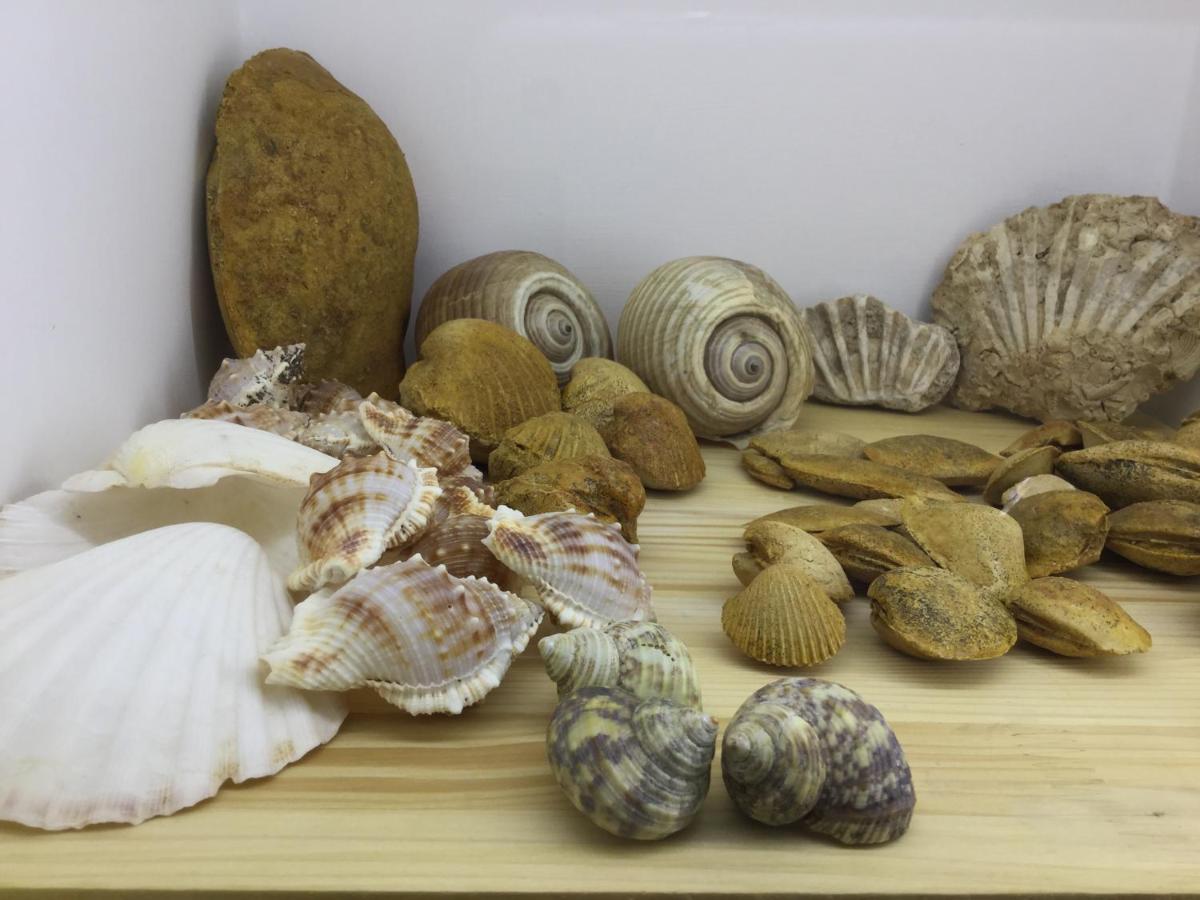 Il Mare In Un Boccaccio